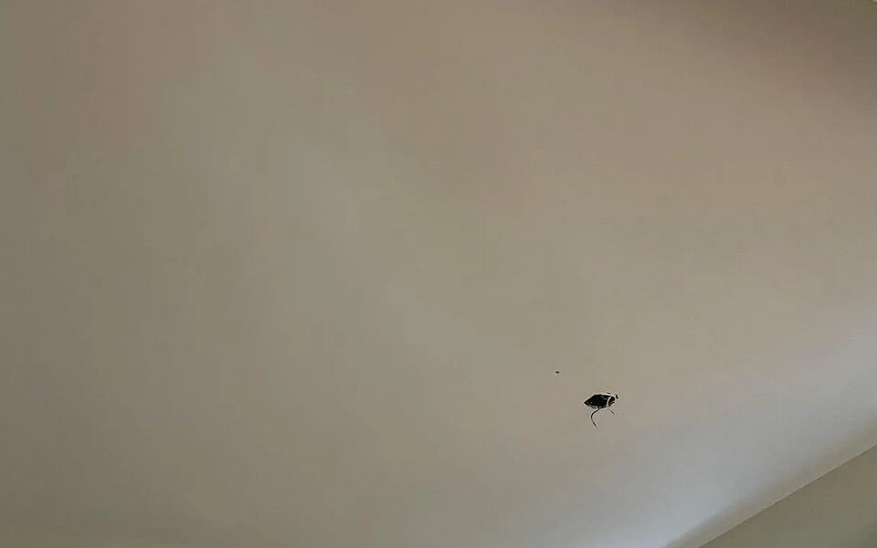 patch dudes project3 after