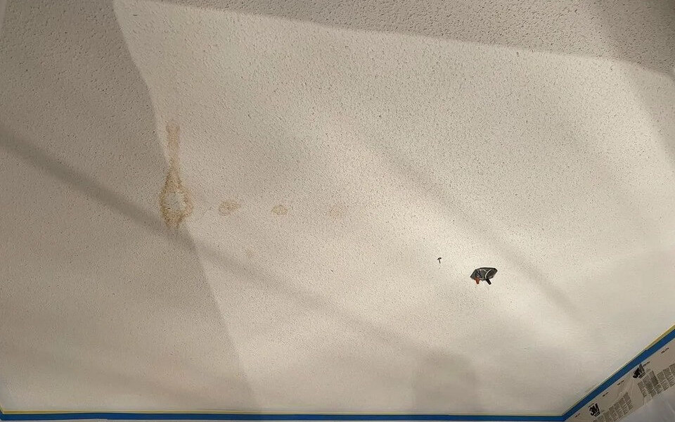 patch dudes project3 before